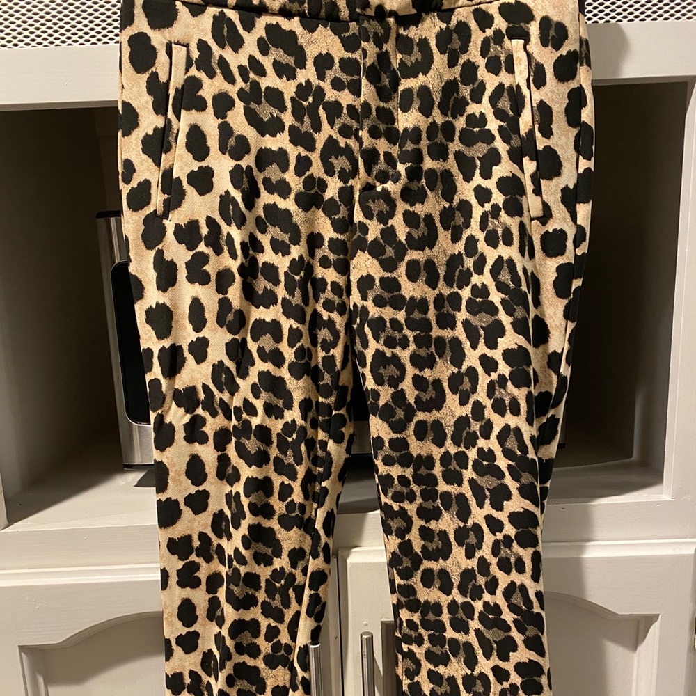 Zara pants